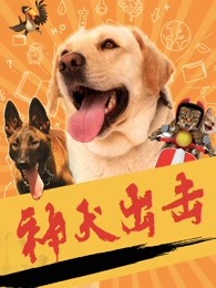 神犬出击